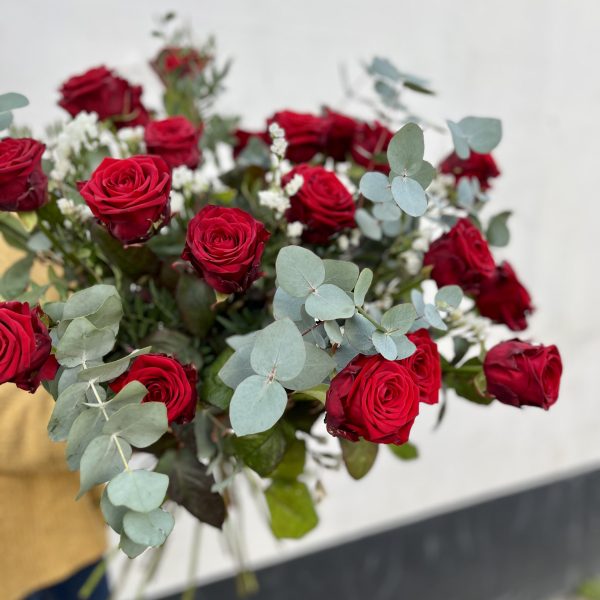 Roses and Eucalyptus