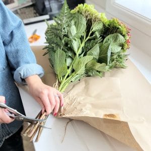 BI-WEEKLY £25 SUBSCRIPTION